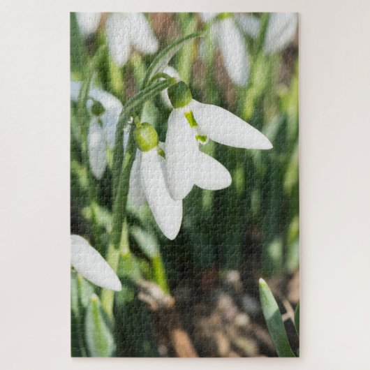 Snowdruppelbloemen Legpuzzel (Verticaal)