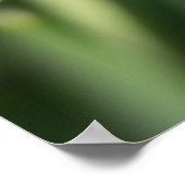 Snowdruppelbloemen Poster (Hoek)