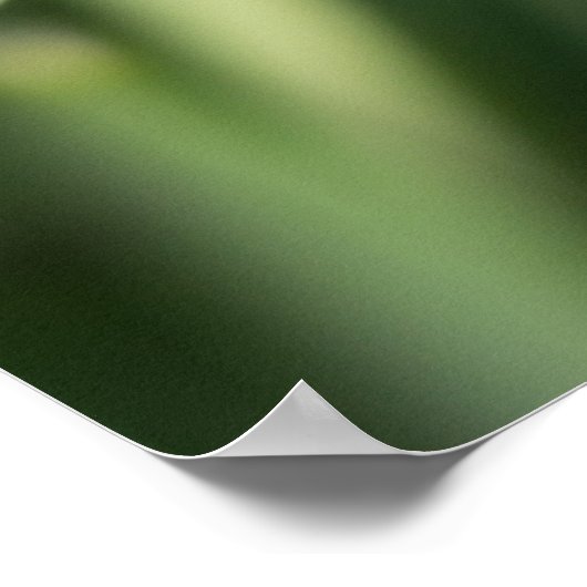 Snowdruppelbloemen Poster (Hoek)