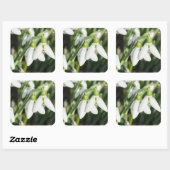 Snowdruppelbloemen Vierkante Sticker (Vel)