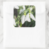 Snowdruppelbloemen Vierkante Sticker (Tas)