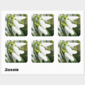 Snowdruppelbloemen Vierkante Sticker (Vel)