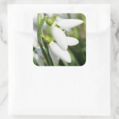 Snowdruppelbloemen Vierkante Sticker (Tas)