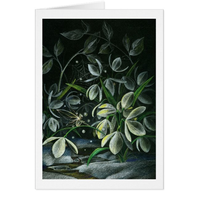 Snowdruppels bij nacht (Voorkant)