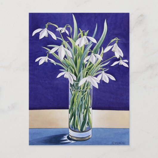Snowdruppels Briefkaart (Voorkant)