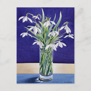 Snowdruppels Briefkaart