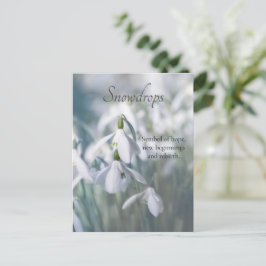 Snowdruppels Briefkaart
