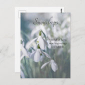 Snowdruppels Briefkaart (Voorkant / Achterkant)