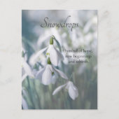 Snowdruppels Briefkaart (Voorkant)