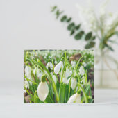 Snowdruppels Briefkaart (Staand voorkant)