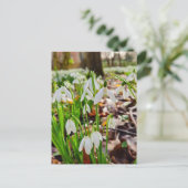 Snowdruppels Briefkaart (Staand voorkant)