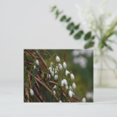 Snowdruppels Briefkaart (Staand voorkant)