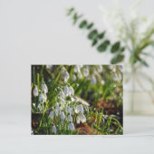 Snowdruppels Briefkaart (Staand voorkant)