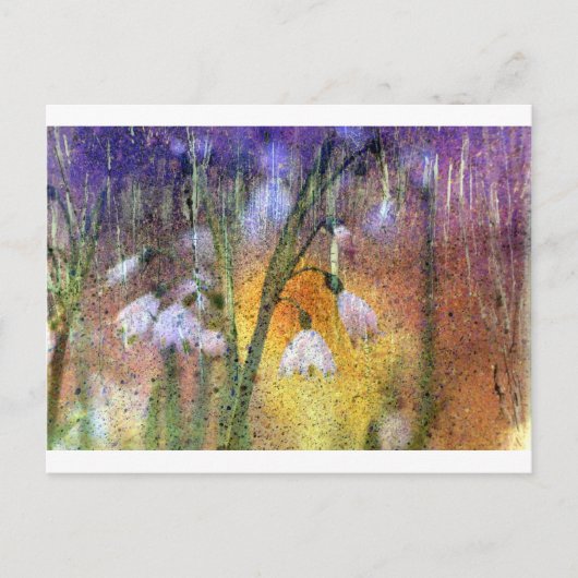 Snowdruppels Briefkaart (Voorkant)