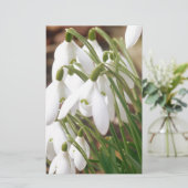 Snowdruppels Briefpapier (Staand voorkant)