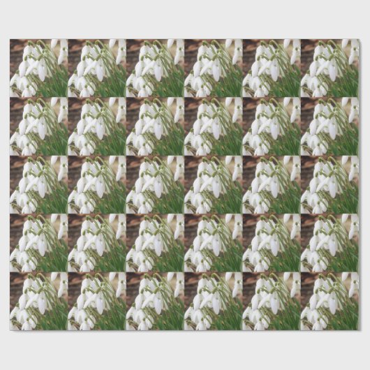 Snowdruppels Cadeaupapier (Vlak)