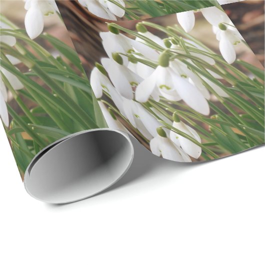 Snowdruppels Cadeaupapier (Rol Hoek)