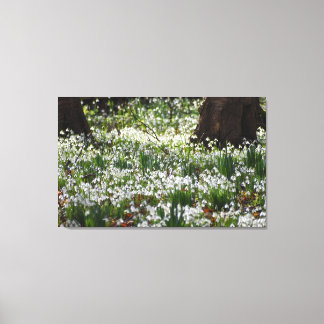 Snowdruppels Canvas Afdruk