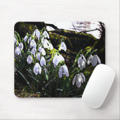 Snowdruppels door de Hafren Mousemat Muismat (Met muis)
