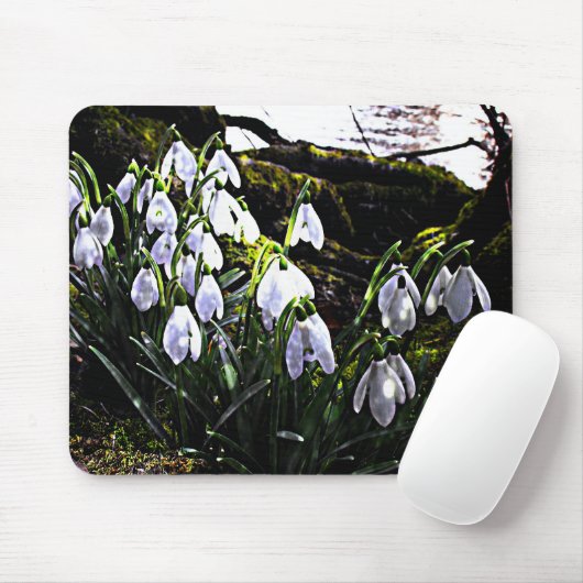 Snowdruppels door de Hafren Mousemat Muismat (Met muis)