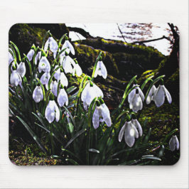 Snowdruppels door de Hafren Mousemat Muismat