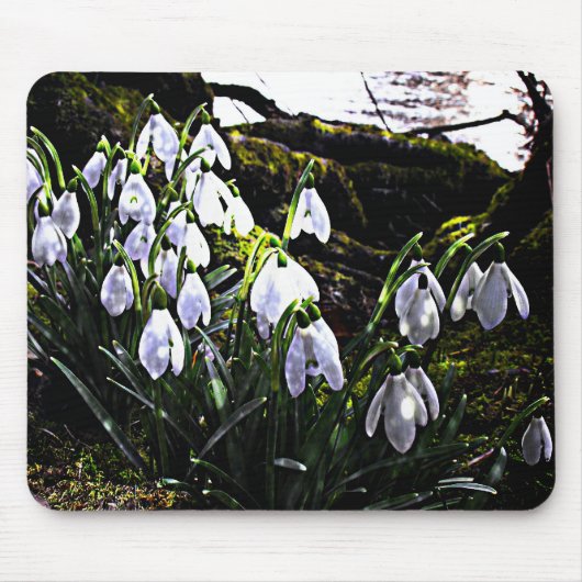 Snowdruppels door de Hafren Mousemat Muismat (Voorkant)