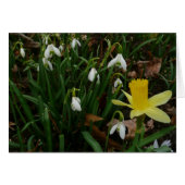 Snowdruppels en Daffodil Spring Floral (Voorkant Horizontaal)