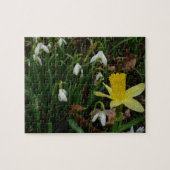 Snowdruppels en Daffodil Spring Floral Legpuzzel (Horizontaal)