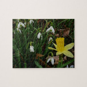 Snowdruppels en Daffodil Spring Floral Legpuzzel