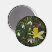Snowdruppels en Daffodil Spring Floral Magneet (Voorkant / Achterkant)