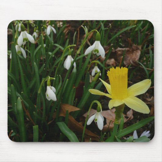 Snowdruppels en Daffodil Spring Floral Muismat (Voorkant)