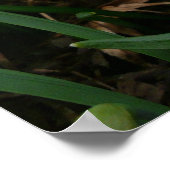 Snowdruppels en Daffodil Spring Floral Poster (Hoek)