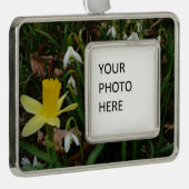 Snowdruppels en Daffodil Spring Floral Verzilverd Omlijst Ornament (Rechts)