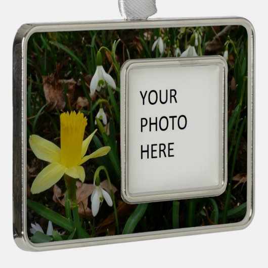 Snowdruppels en Daffodil Spring Floral Verzilverd Omlijst Ornament (Rechts)