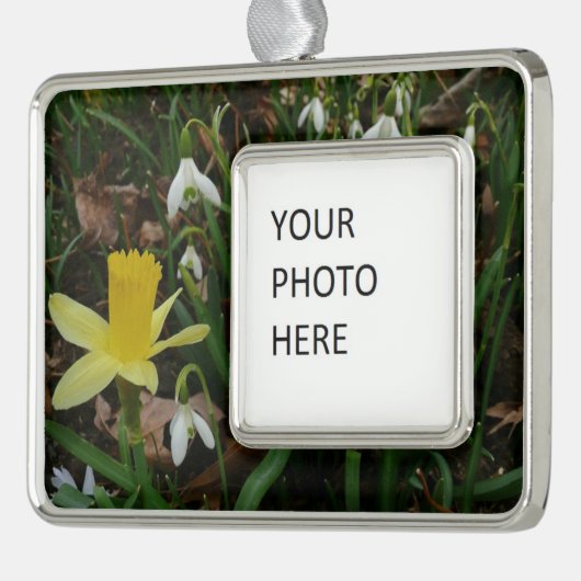 Snowdruppels en Daffodil Spring Floral Verzilverd Omlijst Ornament (Links)