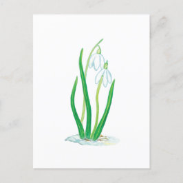 Snowdruppels (Galanthus nivalis) Briefkaart