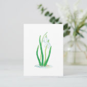 Snowdruppels (Galanthus nivalis) Briefkaart (Staand voorkant)