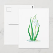 Snowdruppels (Galanthus nivalis) Briefkaart (Voorkant / Achterkant)