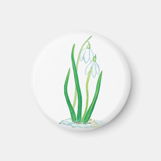Snowdruppels (Galanthus nivalis) Magneet (Voorkant)