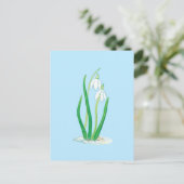 Snowdruppels (Galanthus nivalis) Vroege lentbloeme Briefkaart (Staand voorkant)