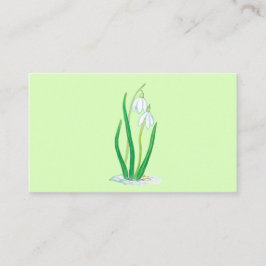 Snowdruppels (Galanthus nivalis) Vroege lentbloeme Informatiekaartje