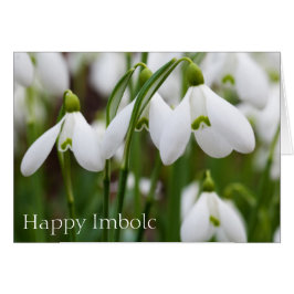 Snowdruppels - Happy Imbolc