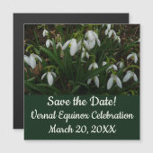 Snowdruppels I (Galanthus) White Spring Flowers (Voorkant / Achterkant)