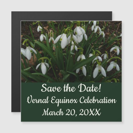 Snowdruppels I (Galanthus) White Spring Flowers (Voorkant / Achterkant)