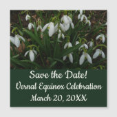 Snowdruppels I (Galanthus) White Spring Flowers (Voorkant)