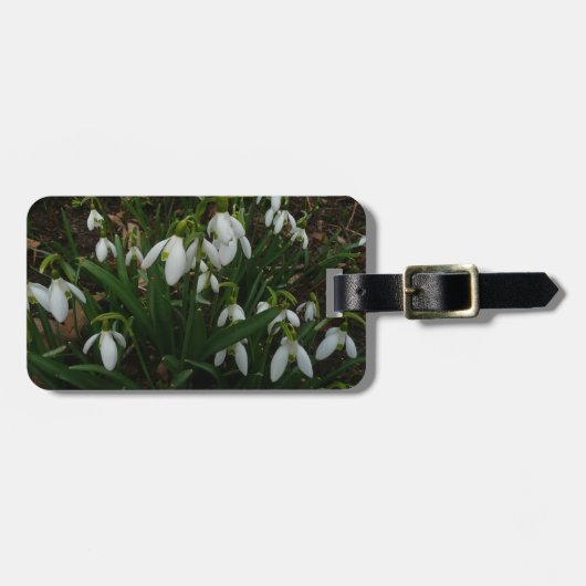Snowdruppels I (Galanthus) White Spring Flowers Bagagelabel (Voorkant horizontaal)