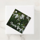 Snowdruppels I (Galanthus) White Spring Flowers Bedankjes Labels (In situ)
