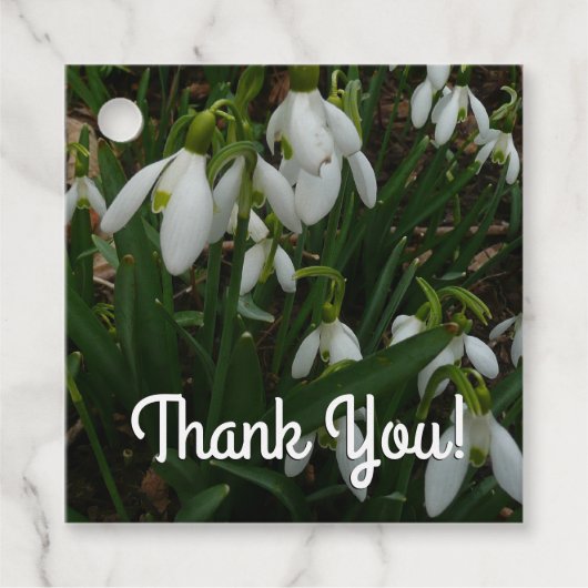 Snowdruppels I (Galanthus) White Spring Flowers Bedankjes Labels (Voorkant)