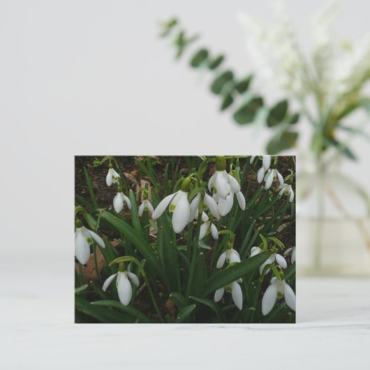 Snowdruppels I (Galanthus) White Spring Flowers Briefkaart (Staand voorkant)