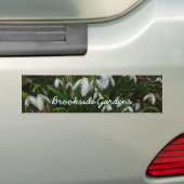 Snowdruppels I (Galanthus) White Spring Flowers Bumpersticker (Op auto)